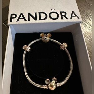 100th year Disney anniversary pandora charm bracelet